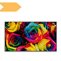 ALR екран для ультракороткофокусного проектора XPRO LedProjector PET Crystal BSP (FFB), 120" чорний (W01030_32999)