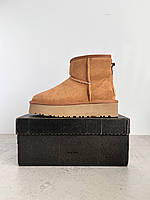 LOT: 2486 S Cod: 1065