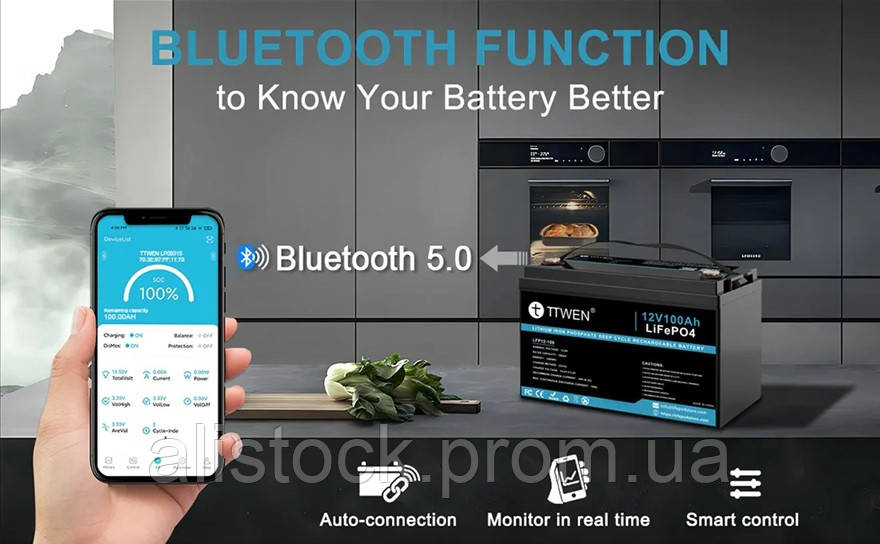 Battery TTWEN LiFePO4 12V 100AH 1280Wh BMS Bluetooth
