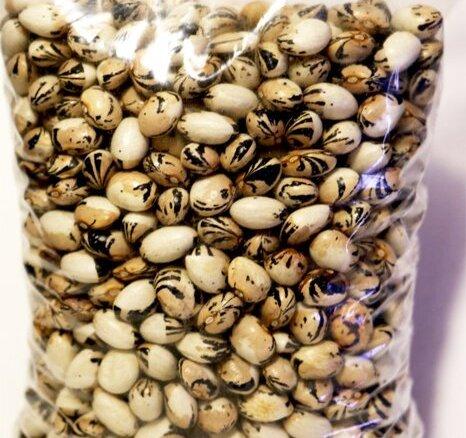 Квасоля Крембрюлє 20 г Яскрава, фото 1