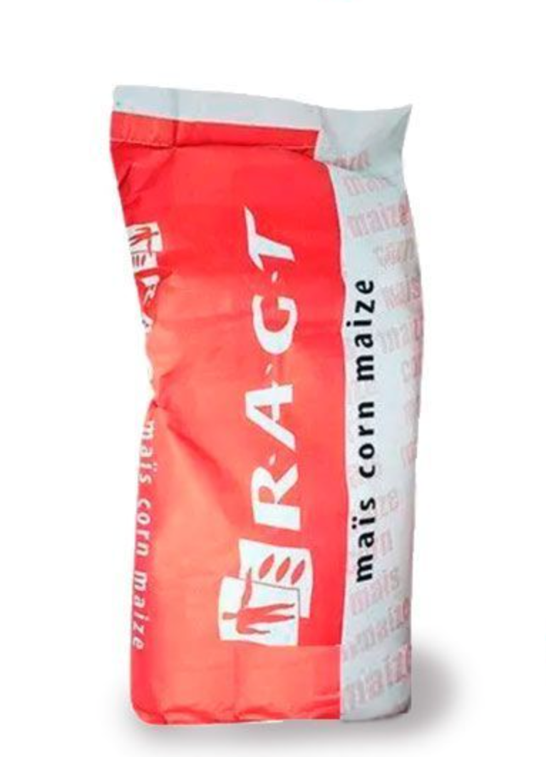 Насіння кукурудзи ТЕККСІЯ РЖТ (ФАО 350), фото 1