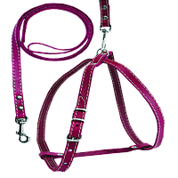 762 комплект "КЛАСІК" собака No0