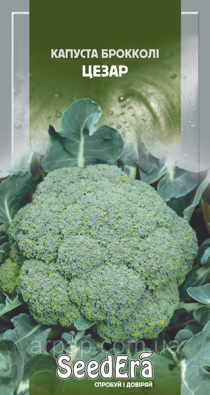 Капуста брокколі Цезар 0.3г, фото 1