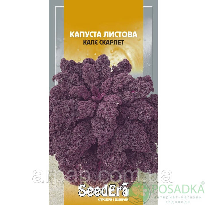 Насіння Капуста листова Кале Скарлет 0,5г, Seedera, фото 1
