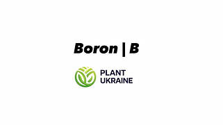 Бор | Boron | B