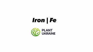 Залізо | Iron | Fe