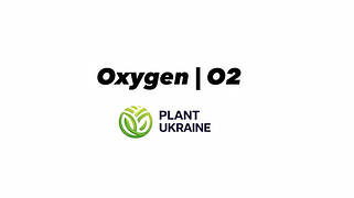Кисень | Oxygen | O₂
