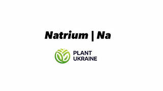Натрій | Natrium | Na