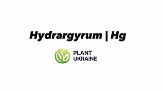 Ртуть | Hydrargyrum | Hg