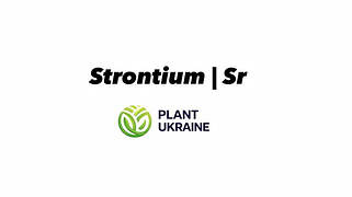 Стронцій | Strontium | Sr