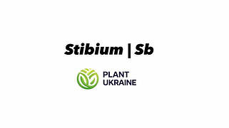 Сурма | Stibium | Sb