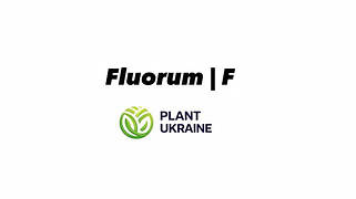 Фтор | Fluorum | F