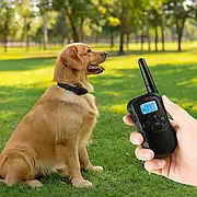 Дресирувальний нашийник для собак з регулюванням, нейлоновий, розмір 40-60 см, чорний PR55