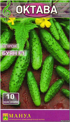 Насіння Огірок самоопилювальне Буян F1, 10 насіння Малюну Октава, фото 2