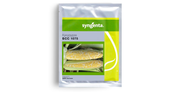 Насіння кукурудзи BSS1075 F1 (5000 насінин), фото 1