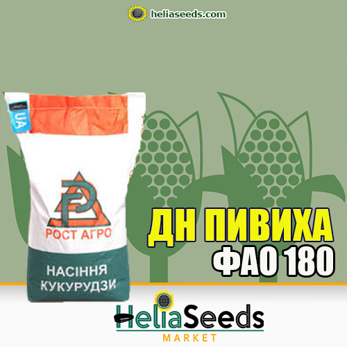 Насіння кукурудзи гібрид ДН ПИВИХА (ФАО 180) посівна кукурудза, фото 1