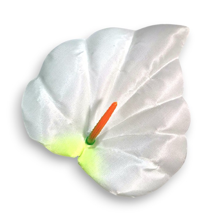 Калла середня атлас, 14см, фото 1