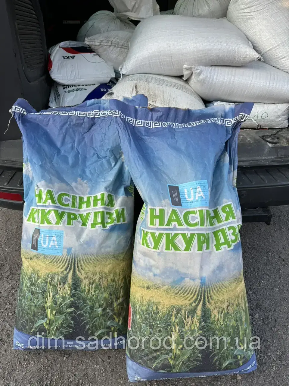 🌽 Кукурудза КАДР — насіння, 1 кг, фото 1