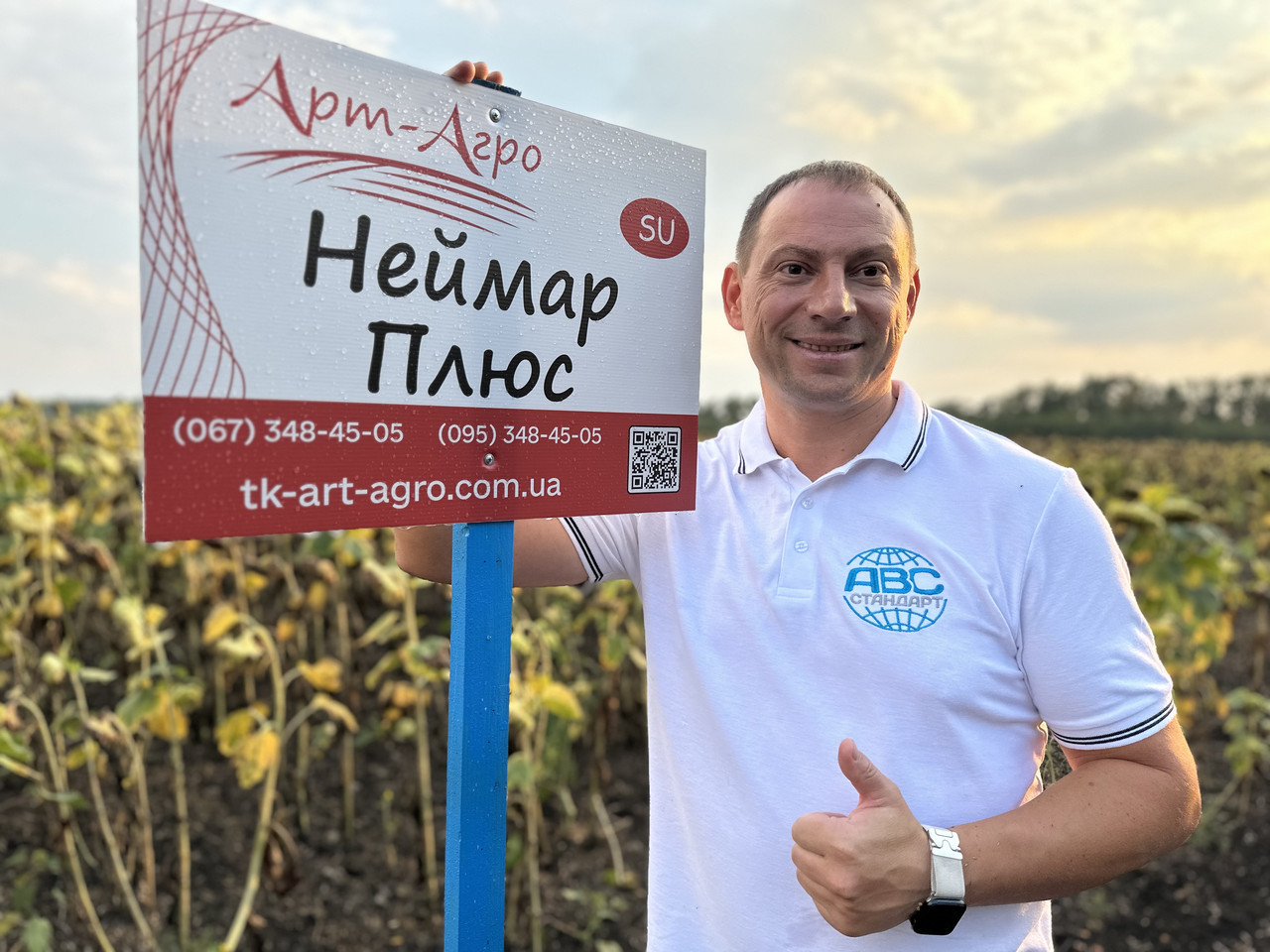 НЕЙМАР ПЛЮС под Гранстар. Гібрид НЕЙМАР ПЛЮС заразиха A-G+. Насіння соняшника (НЕЙМАР ПЛЮС) 55ц/га. Преміум, фото 1
