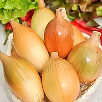 Цибуля Ріпчаста Пінгвін 2 г Сімейний сад