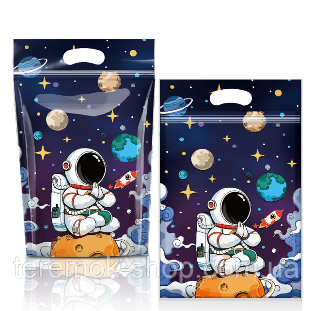 Пакунок з малюнком Космонавт подарунковий із застібкою-блискавкою та ручкою 22 х 15 х 4 см, фото 1