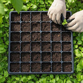 Касети для розсади