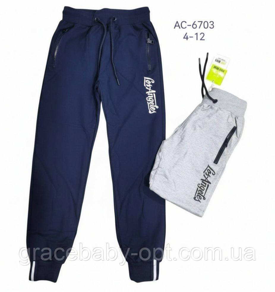 Спортивні штани для хлопчика оптом, F&D, 4-12 рр., № AC-6703, фото 1