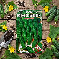 Огірок Мальчик з пальчик F1 — насіння (2 г) — самозапильний корнішон для рівного збору