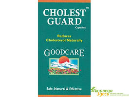 Холест Гард 60кап. Гудкер, Goodcare Pharma Cholest Guard Capsules, для снижения холестерина, Аюрведа Здесь!