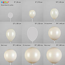 GEMAR-ДЖ 5" A50 084 Пастель Лате | Standard Latte, фото 3