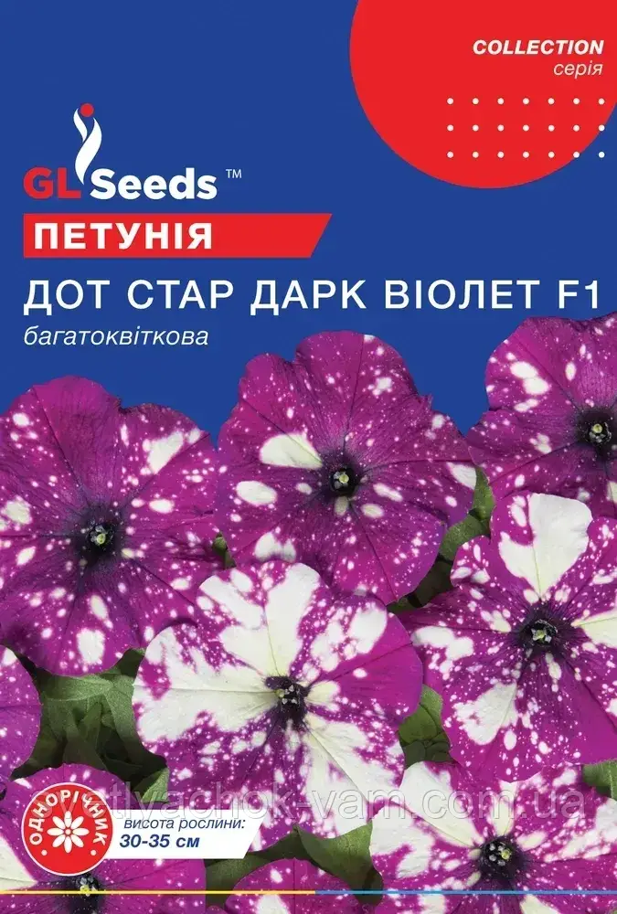 Петунія Дот Стар Дарк Віолет F1 багатоквіткова ефектна однорічна, упаковка 5 шт