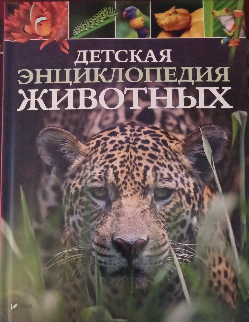 Книга – Дитяча енциклопедія тварин - автори Ліч Майкл, Лленд Меріел, фото 1
