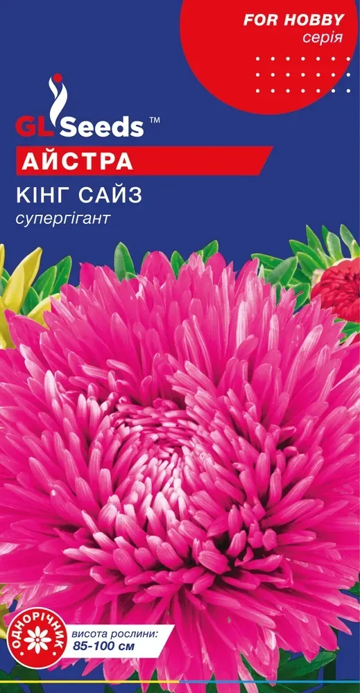 Насіння астри Кінг Сайз 0,3 г GL Seeds, фото 1