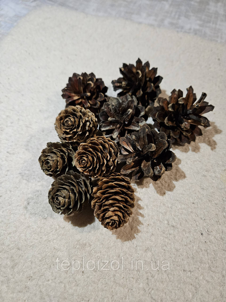 Набір шишок для декору 10шт, фото 1