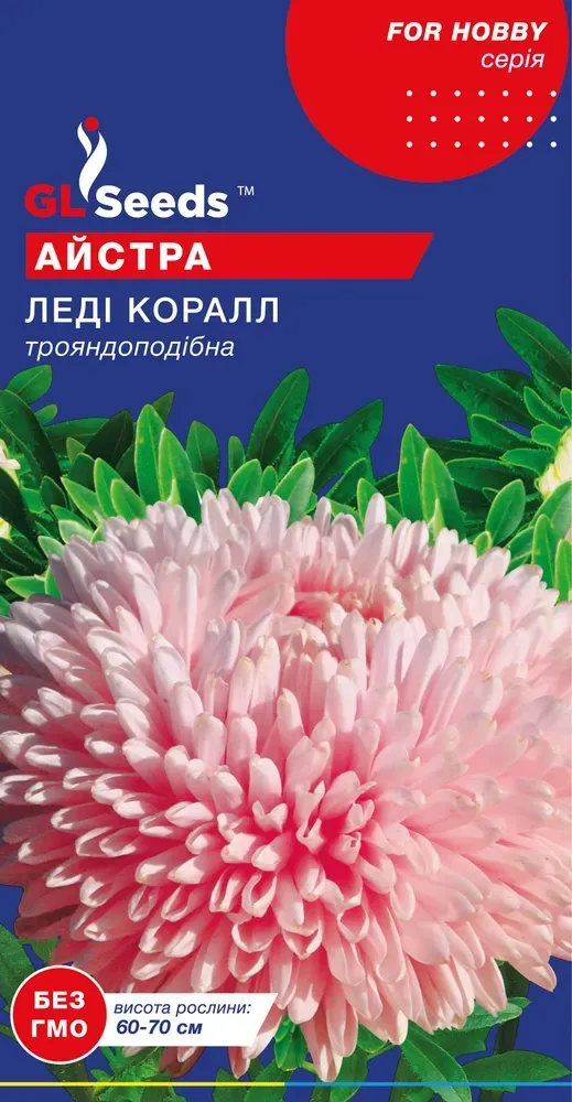 Насіння Айстри Леді Корал 0.3 г GL Seeds, фото 1