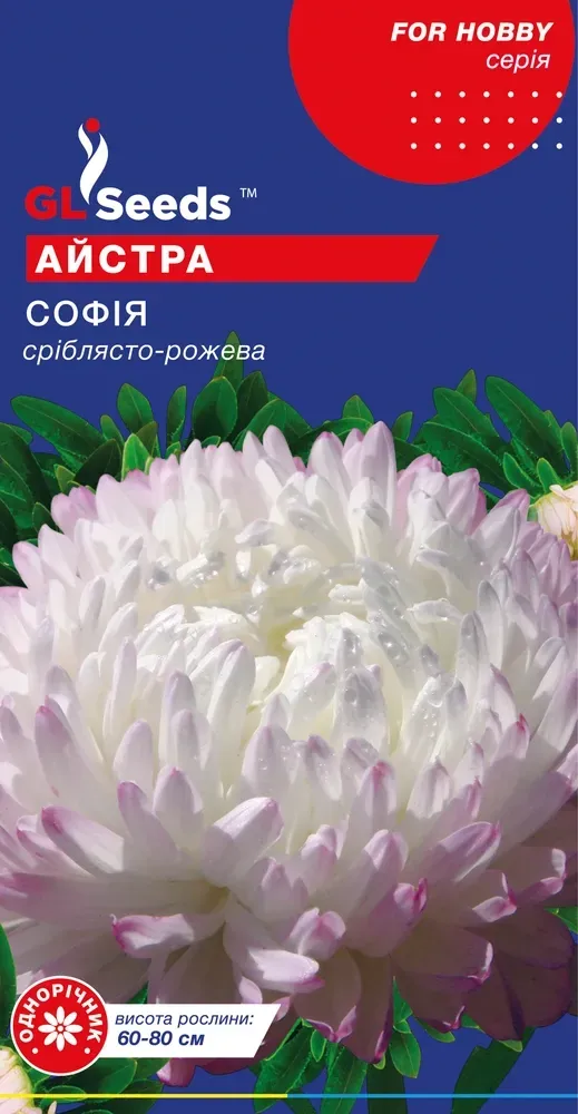 Насіння Айстри Софія піоноподібна 0,3г GL Seeds, фото 1
