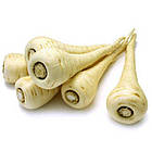 Пастернак Яскрава 1 г., фото 2