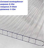 Для телиць,  стільниковий, полікарбонат,  OSCAR   3 мм (Сербія), фото 2