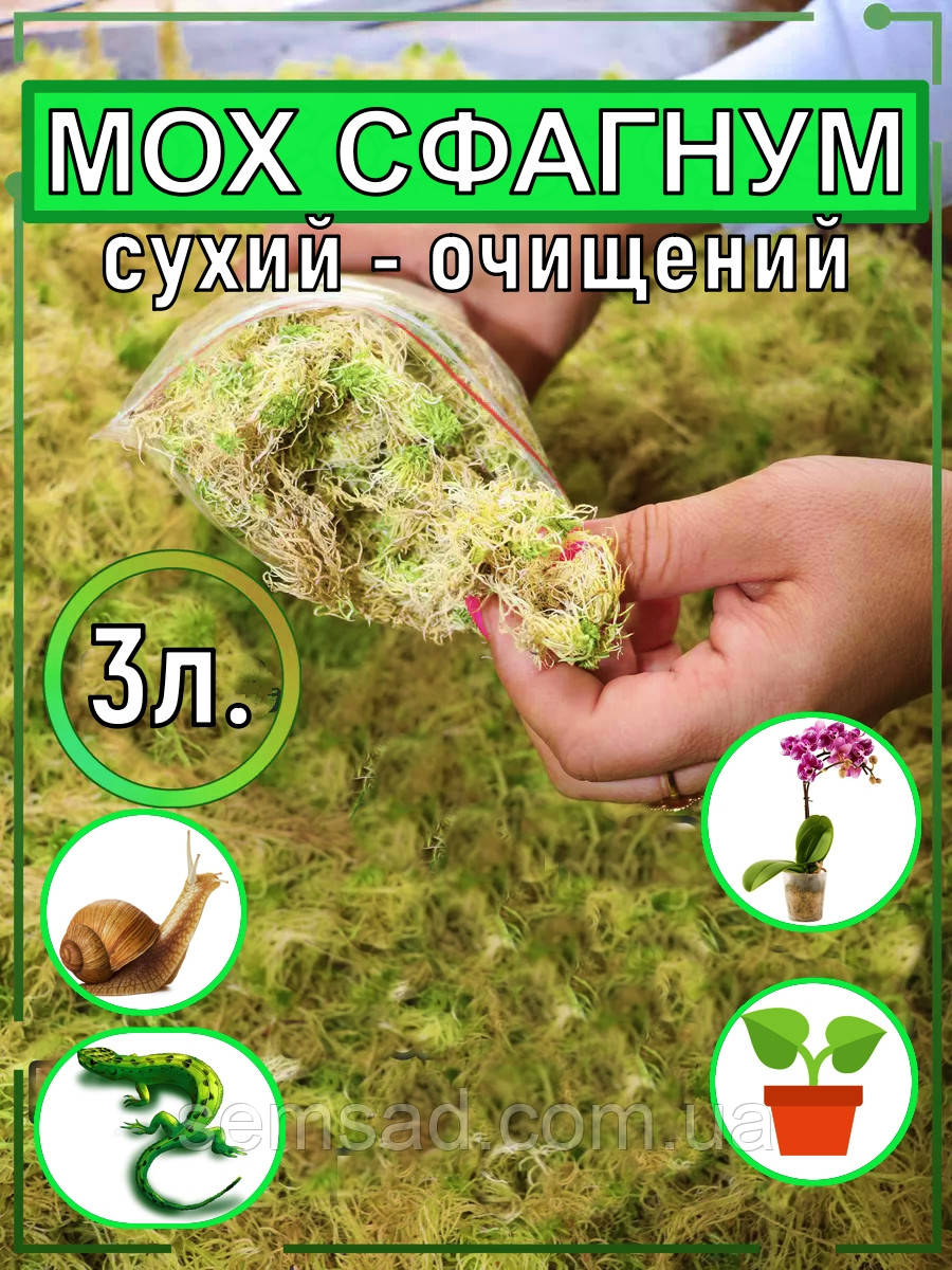 Мох Сфагнум - Сухий ( 3 літри очищений  )