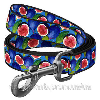 Повідець для собак нейлоновий WAUDOG Nylon, малюнок "Інжир", L-XXL, Ш 25 мм, Дов 300 см