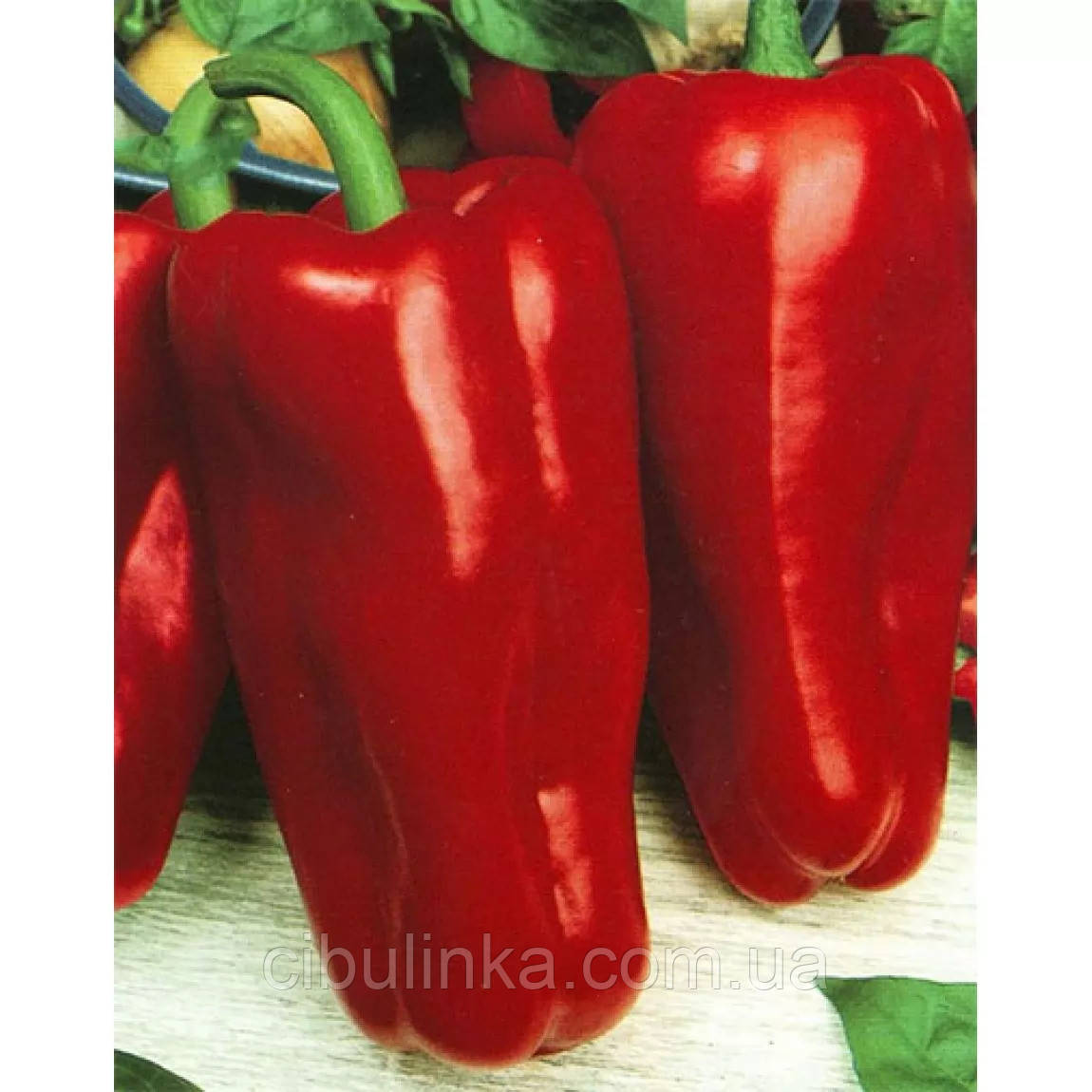 Перець солодкий Орфей (середньостиглий) 0,2 г, фото 1