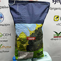 АЛЕКСА СУ (Сумо) 53ц/га, олія 51%, вовчок рас A-G+(ORO). Імпорт/Європа, фото 2