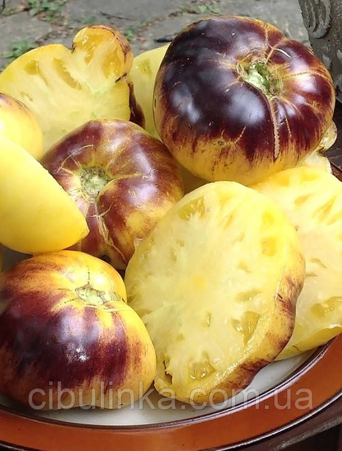 Томат Великий біло-пурпурний (високорослий) 0,1 г, фото 1