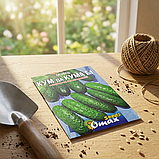 Огірок Кум да Кума F1 — насіння (2 г) — ранній самозапильний гібрид для рівного старту, фото 3