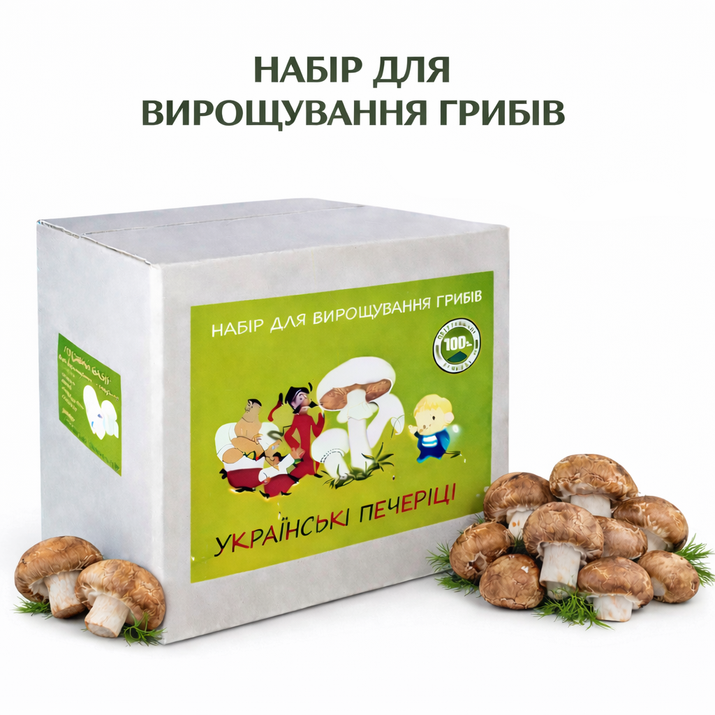 Грибний набір для вирощування королівських печериць готова грибна коробка з засіяним міцелієм печериць