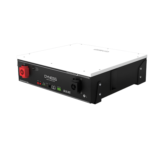 Акумулятор Dyness DL5.0C з підігрівом, 51.2В 100Ah 5.12kWh, фото 1