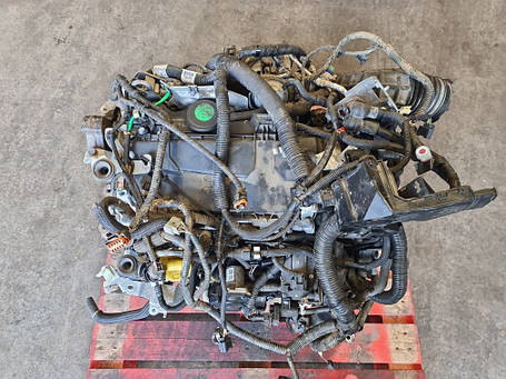 M9R 838 Двигун, фото 1