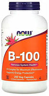 Вітаміни групи B для нервової системи та енергії Now Foods B-Vitamins 250 капс