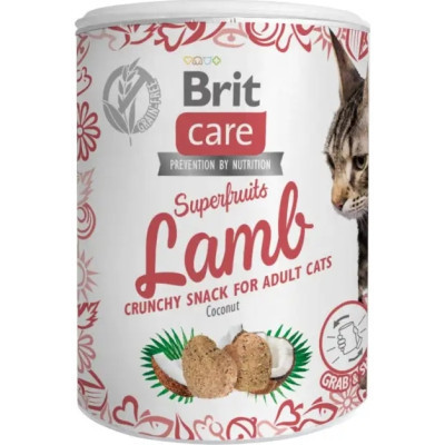 Ласощі для котів Brit Care Superfruits Lamb 100 г - ягня (8595602555697), фото 1