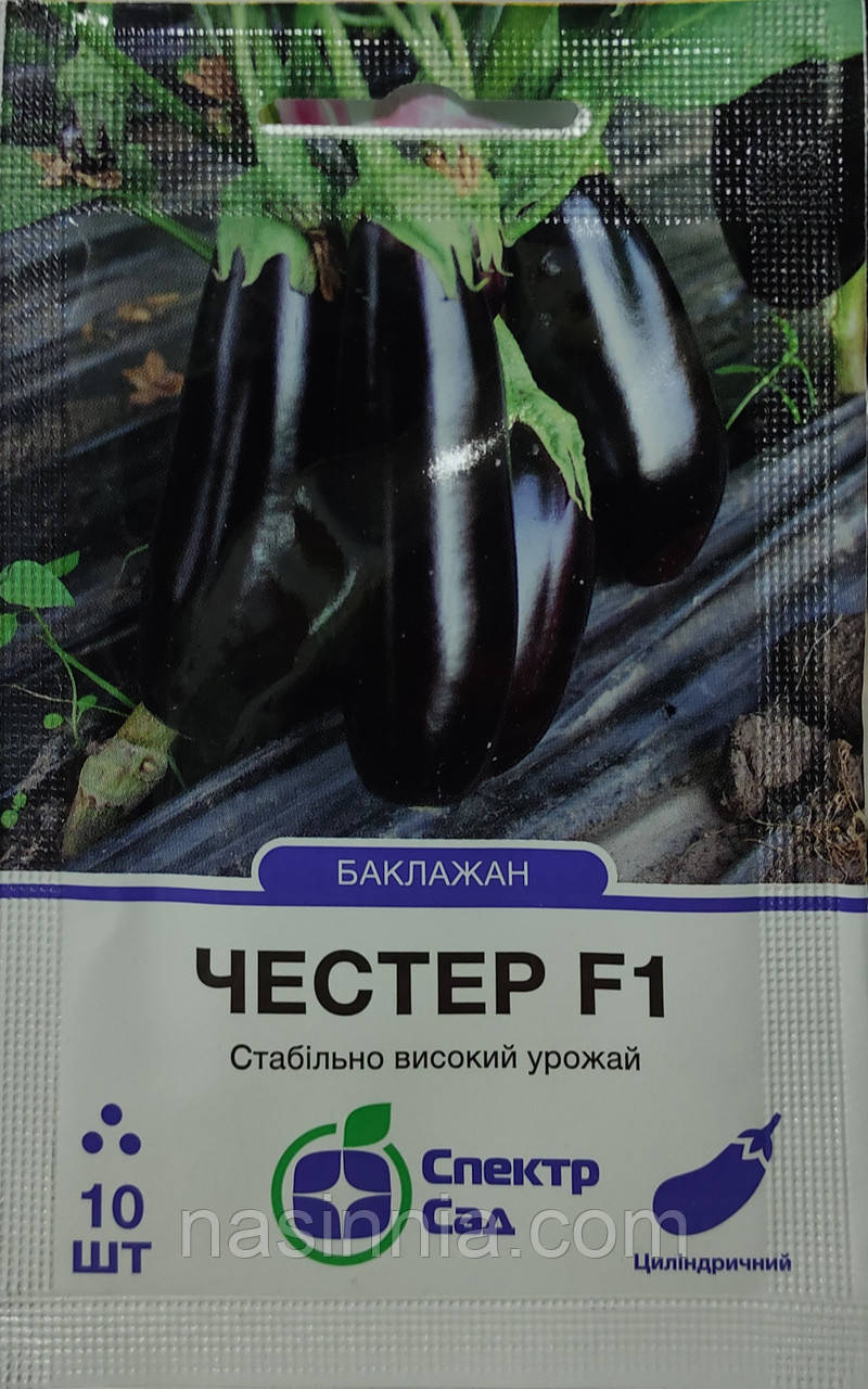 Баклажан Честер F1 10 насінин, фото 1